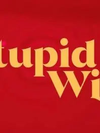 AcridSack1412의 Stupid Wife