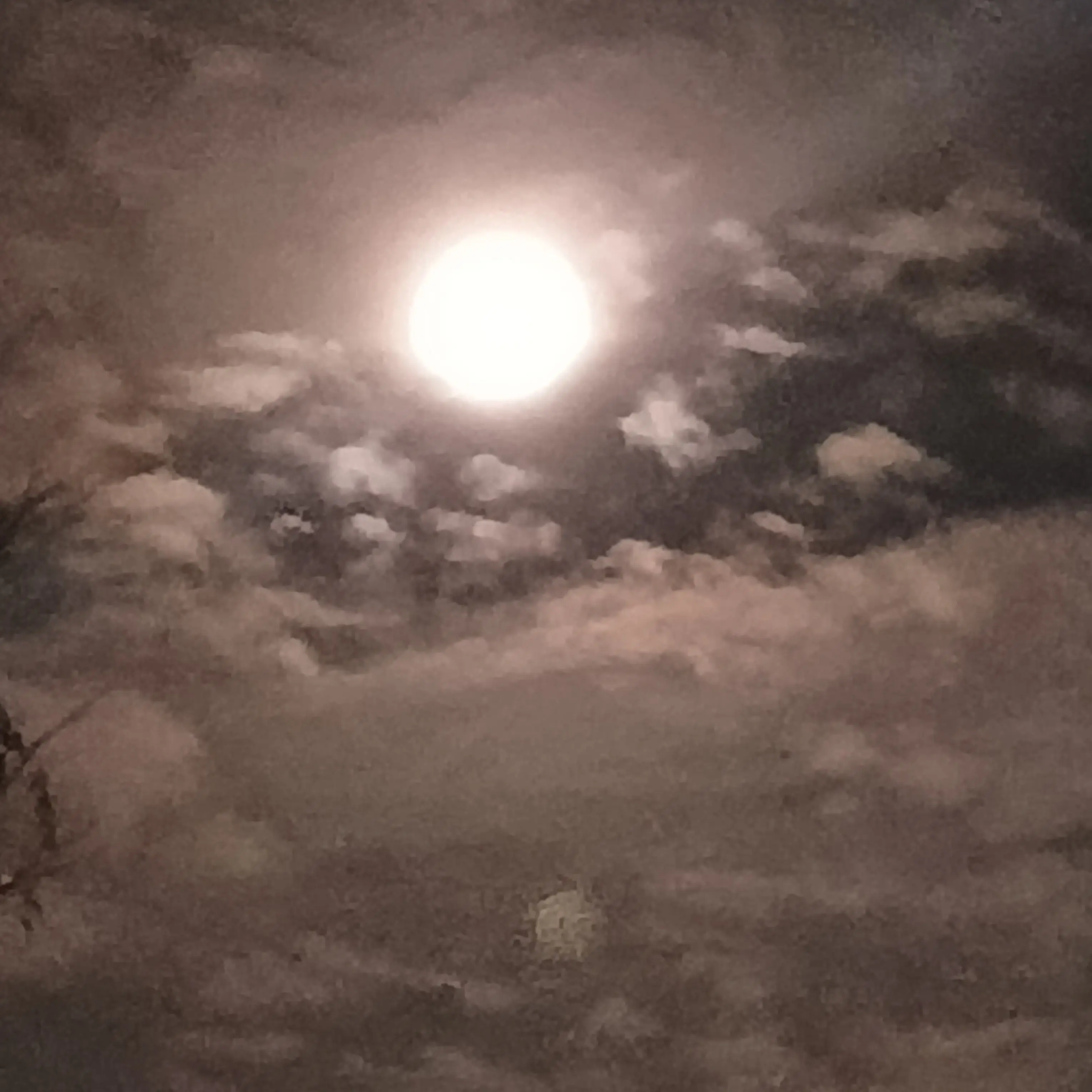 PurelyWagon2110의 ss급 센티넬 이지훉