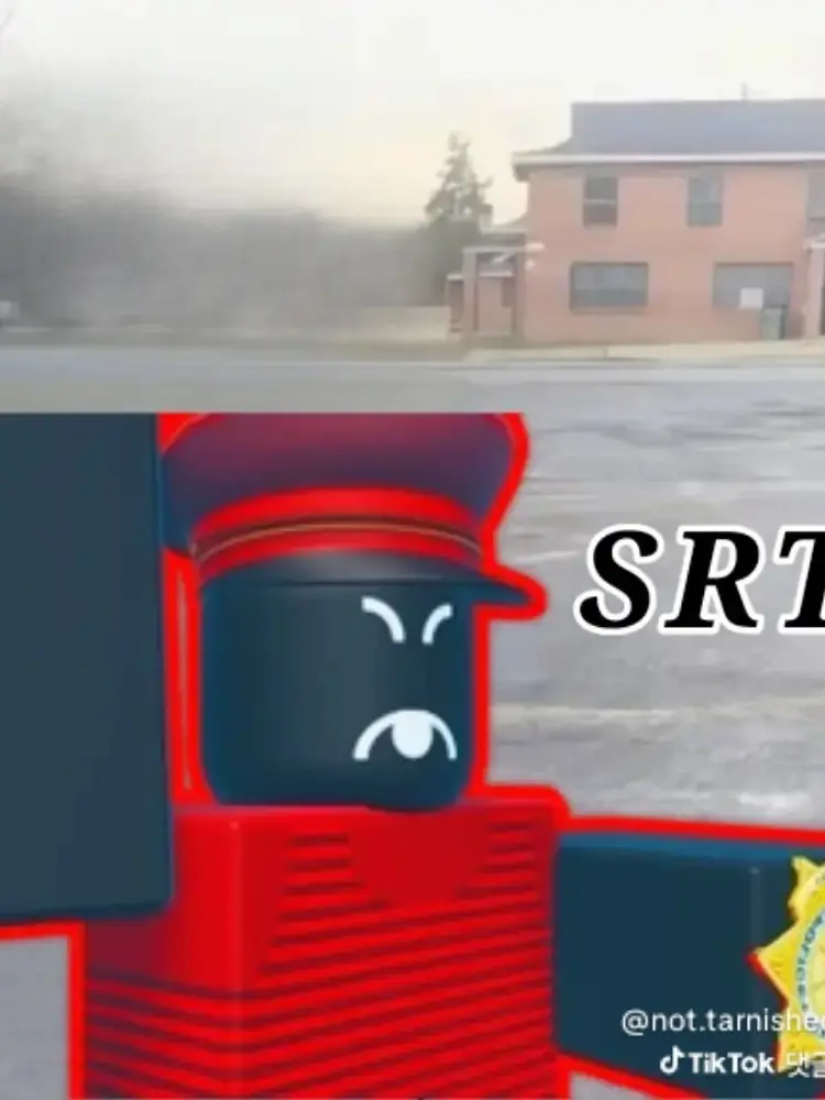 t5d4d의 전투 벽돌 (동거3, 여우 포함)