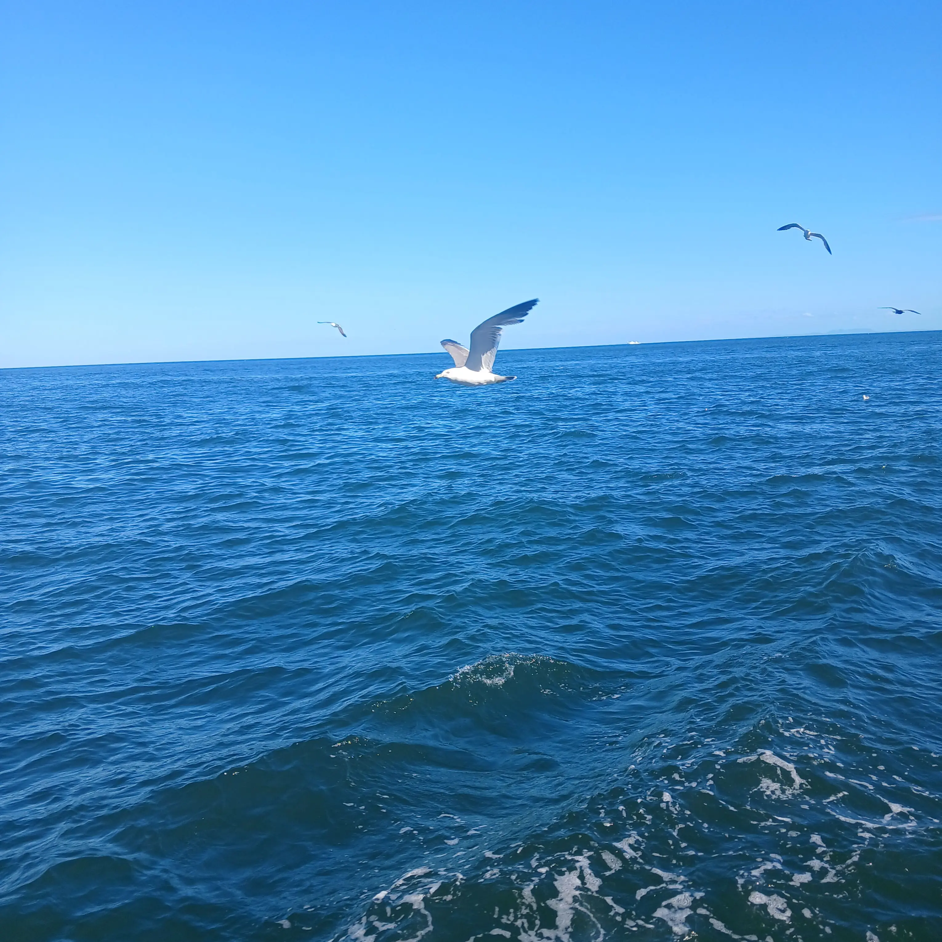 BrashApron7795의 💙블루록💙🔒