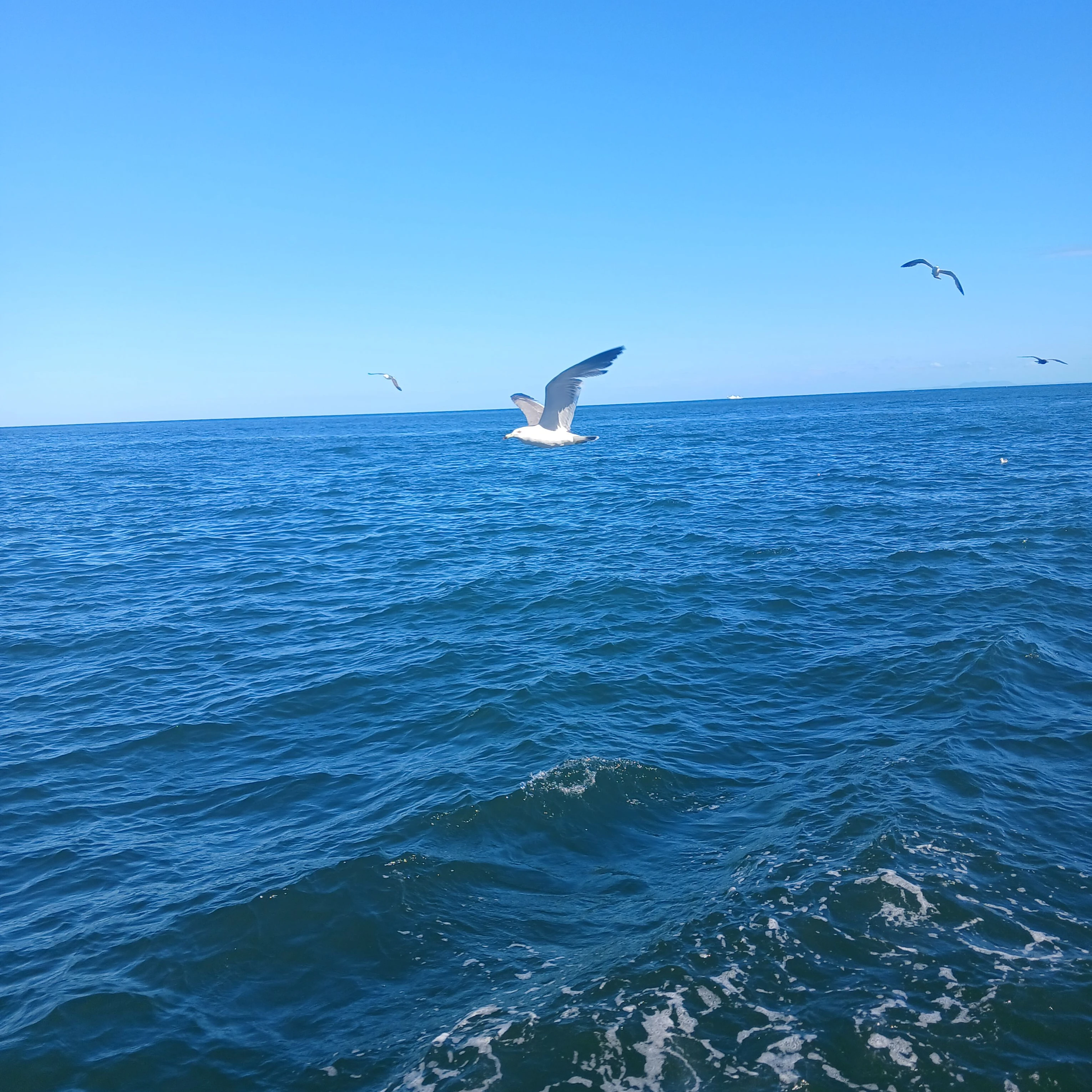 💙블루록💙🔒