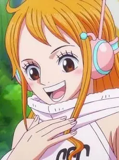 konapunpun의 ワンピースの女キャラ達