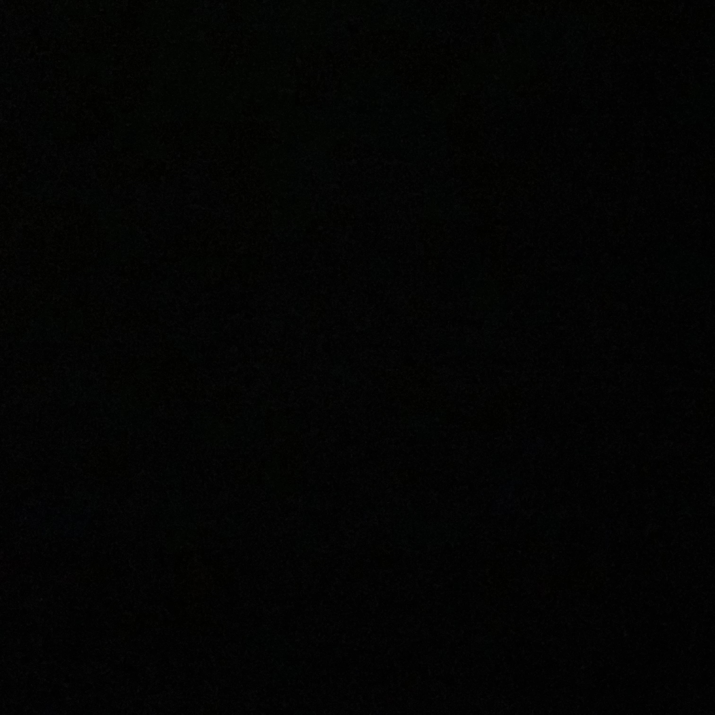 김동현