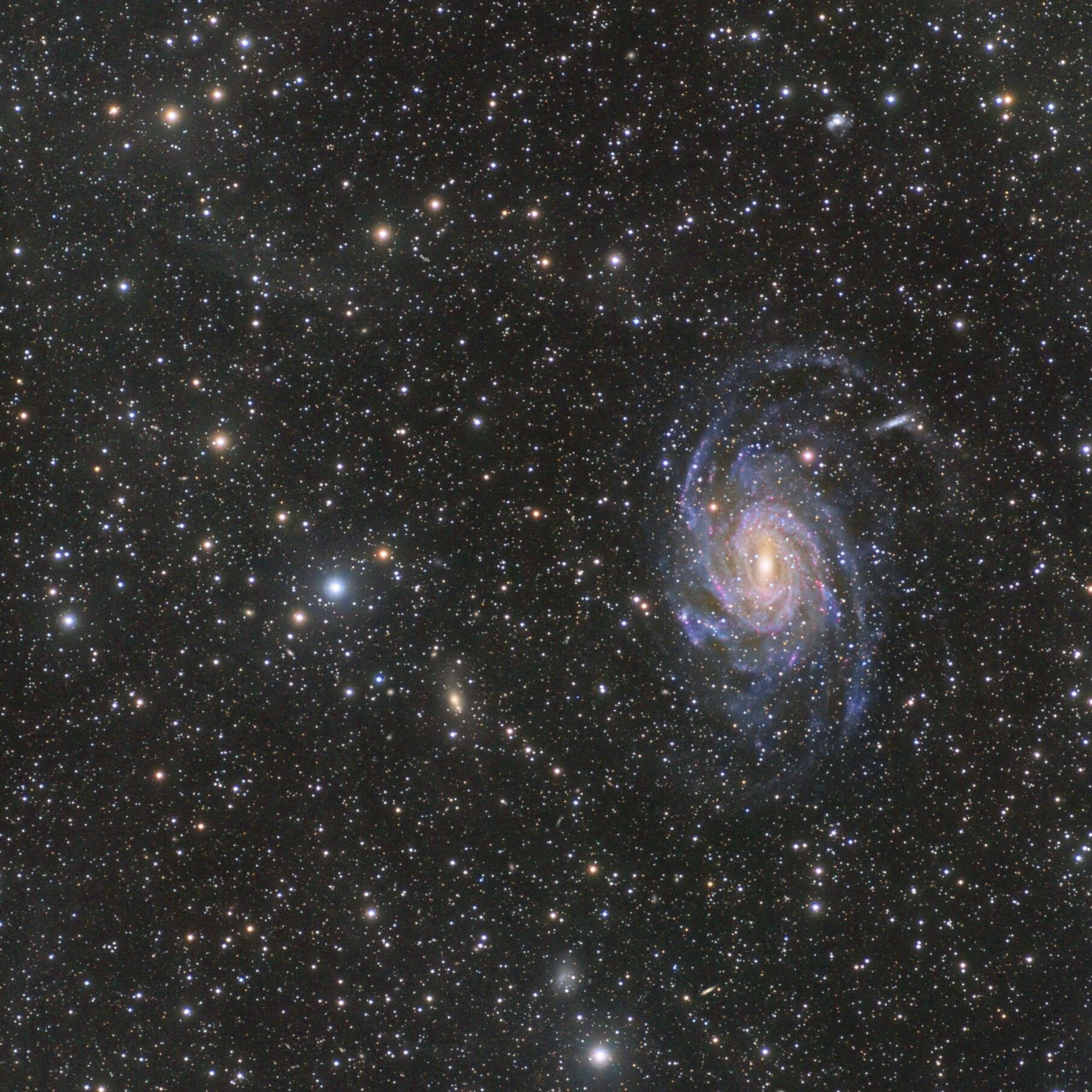 何でも屋の僕(私)と彼