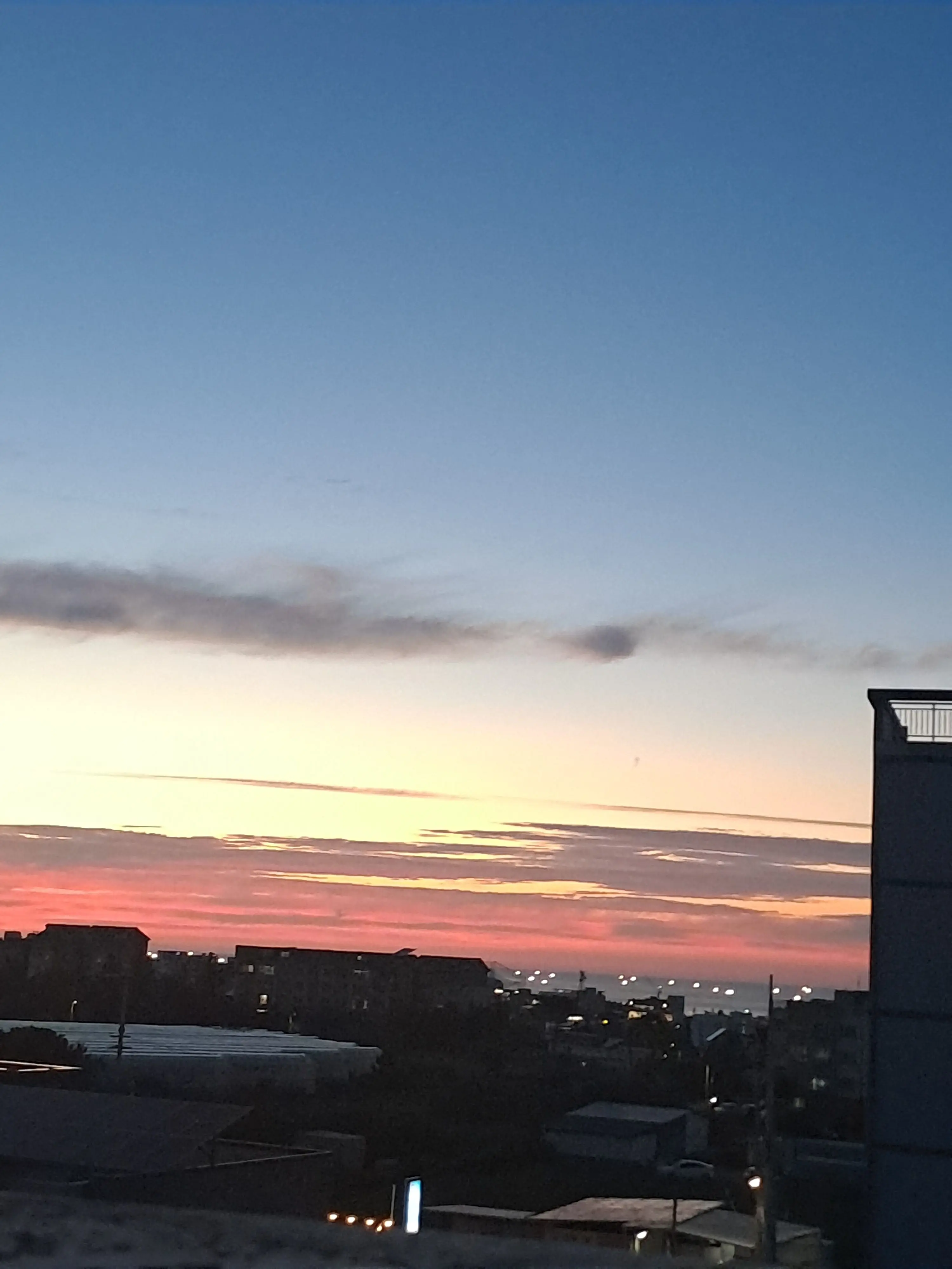 CruelJam4645의 픽셀리 학교(여우)