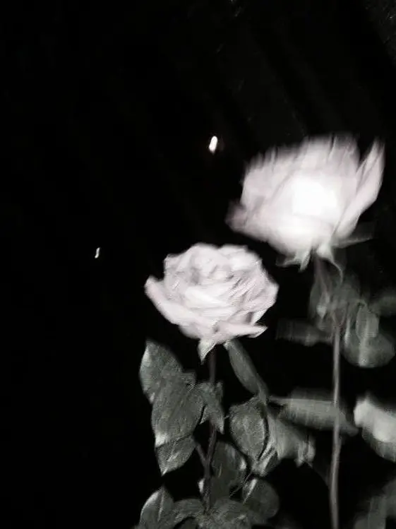 9lxqe8의 掴めない隣の席の子。