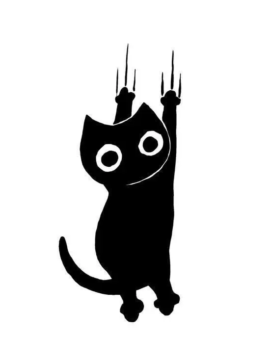 374585의 猫猫的宇宙論
