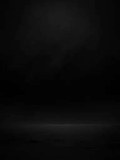 BlankMink1373의 조선시대 스키즈