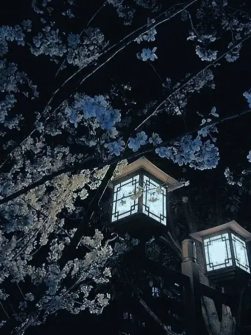 _55555_55555_의 패러다이스