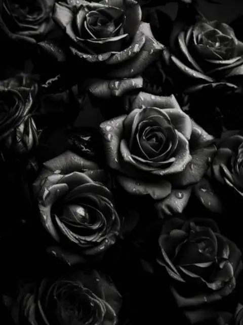 knt_hbr_zeffiro의 元同期