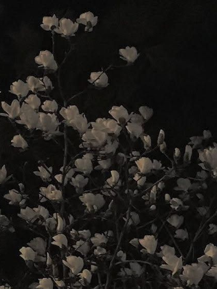 🔮 어쩔 수 없었는걸요~ 대표 이미지