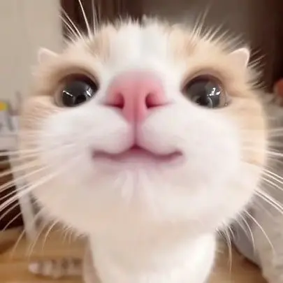 HELLOCUTEBOY의 호리미야 세계??