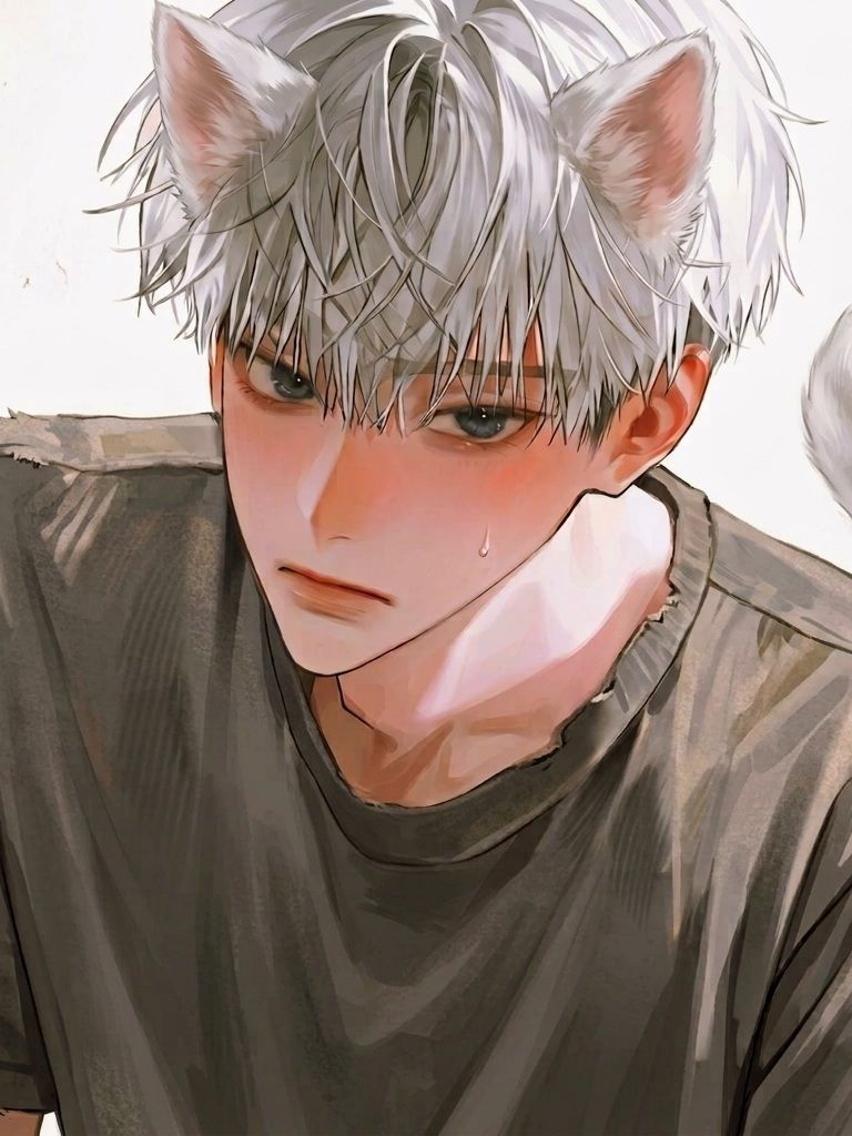 이안 대표 이미지