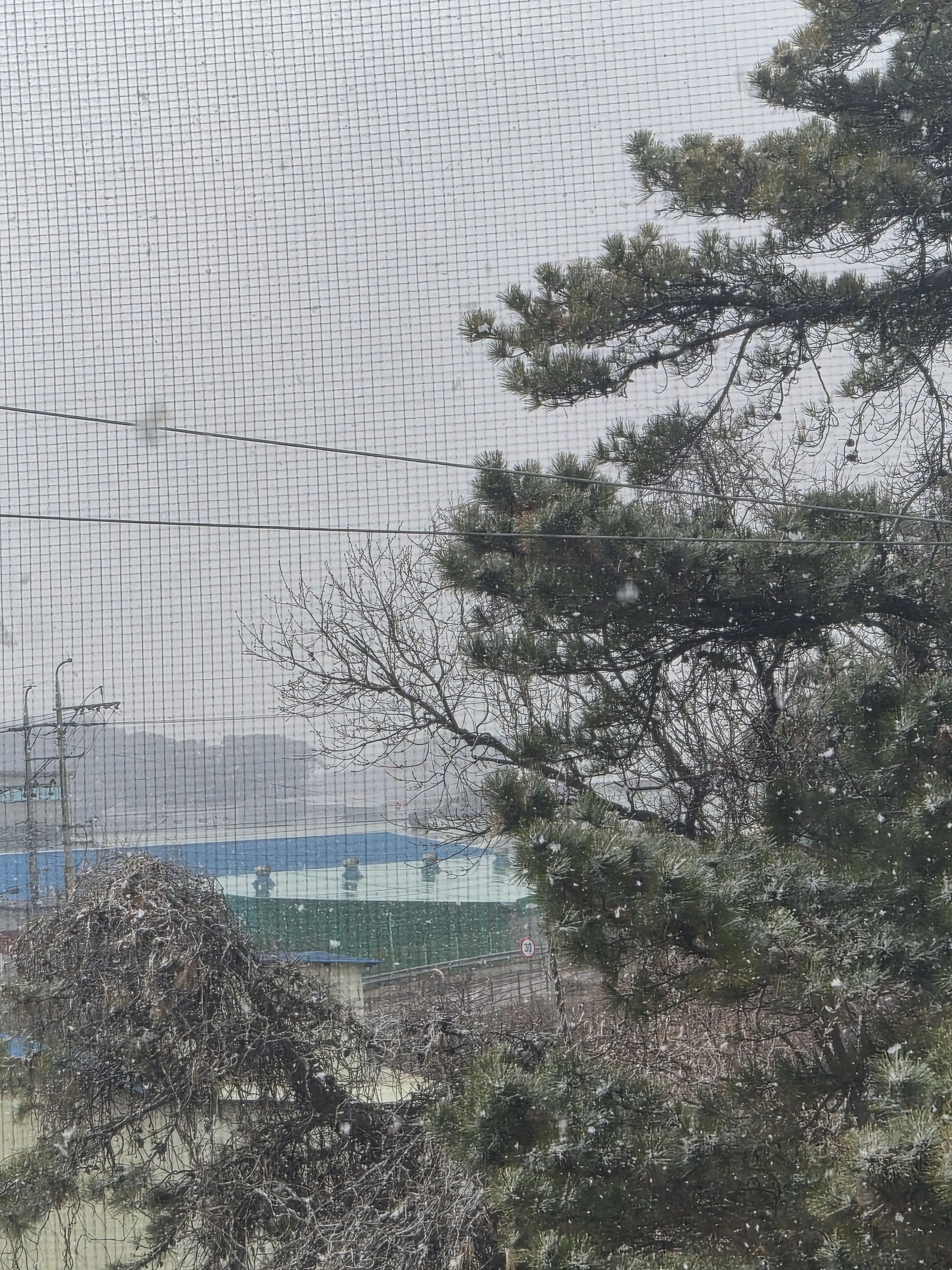 cloud_14의 [사건 파일: 죽음의 모순]