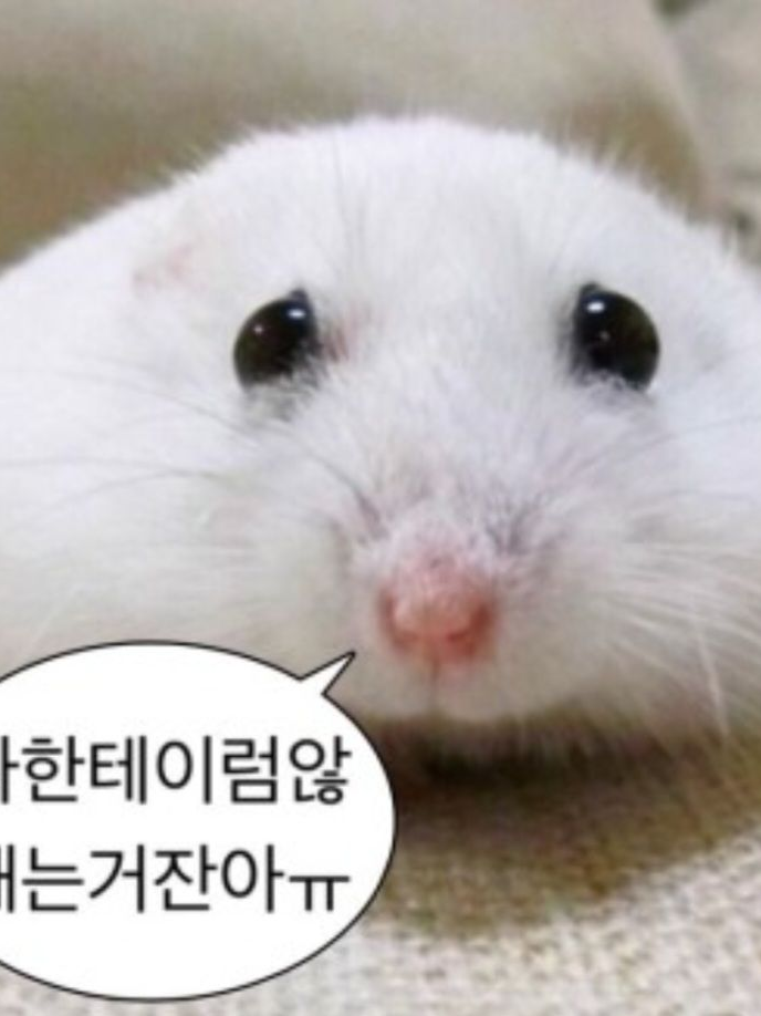 포세이큰+다오데 동거(+늑대) 대표 이미지