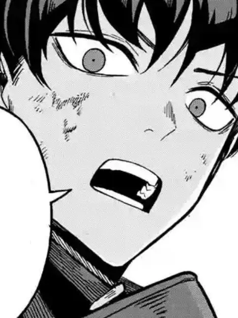 nhnhhn의 호시나 소우시로