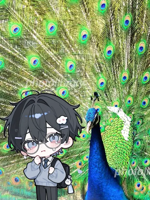 vitamin_____B-and-vitamin____C의 🦚🦚🦚🦚🦚🦚🦚🦚🦚🦚