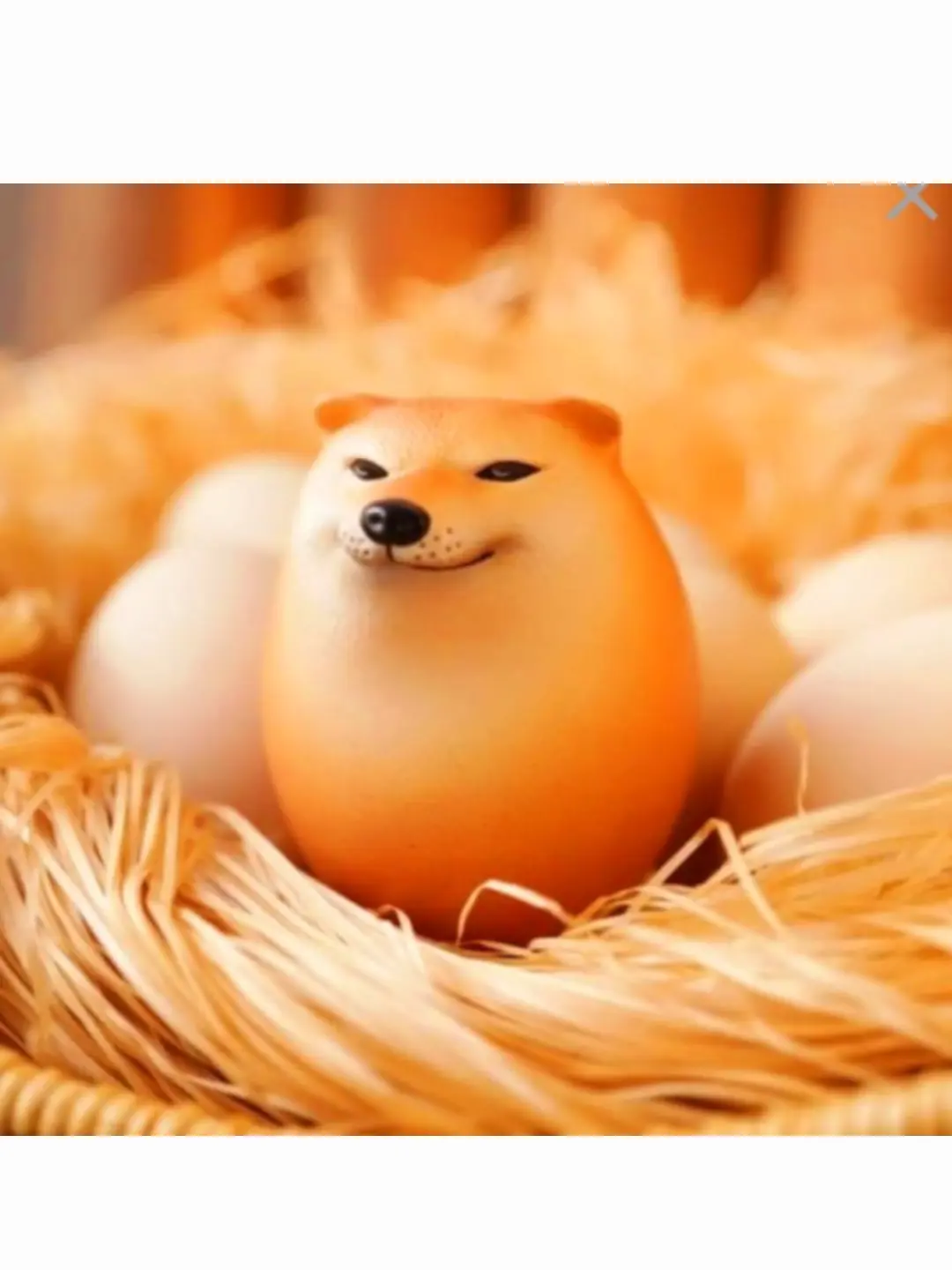 GreedyTable6606의 시바꺼