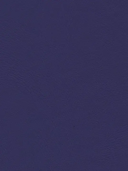 tiutiu._.0807의 細菌クン。