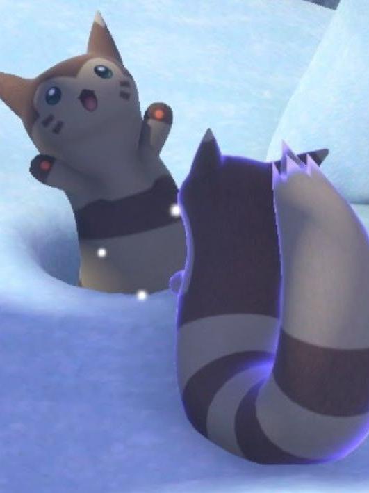 카지 대표 이미지