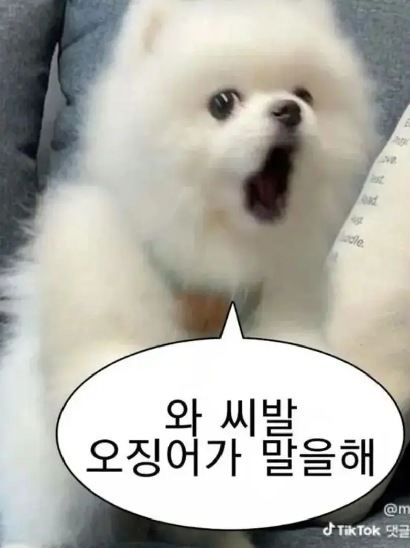 YYYUUUO의 용서? 그딴걸?
