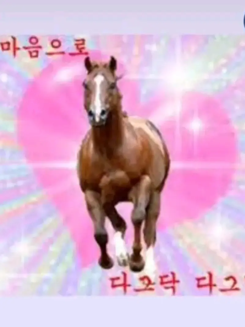 aflisp의 센터 ㅅㄲ