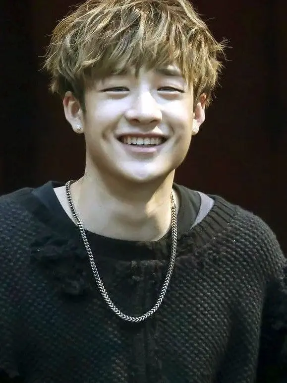 AmeliaAgapov10293의 Bangchan older brother