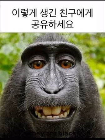 자캐면서 자캐아닌 애들+대저택능력학교 대표 이미지