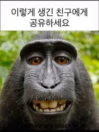 RoomyDaug4225의 자캐면서 자캐아닌 애들+대저택능력학교