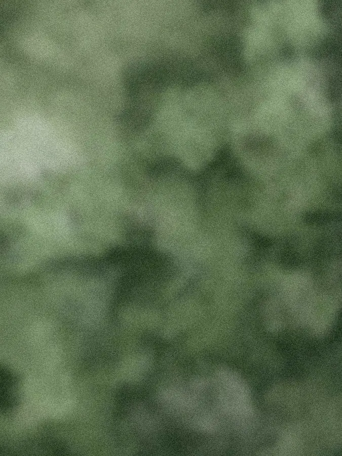 copying123의 내가 주운 인어놈.