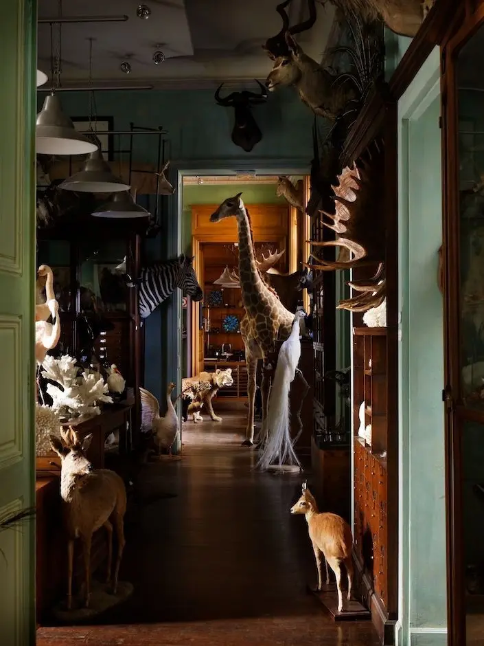 Yare1183의 Night at the Museum