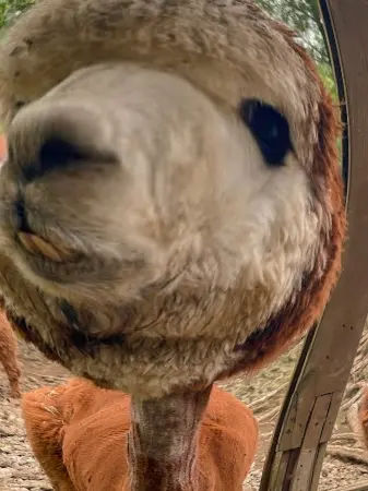 sumin1234의 Welcome to the zoo=)
