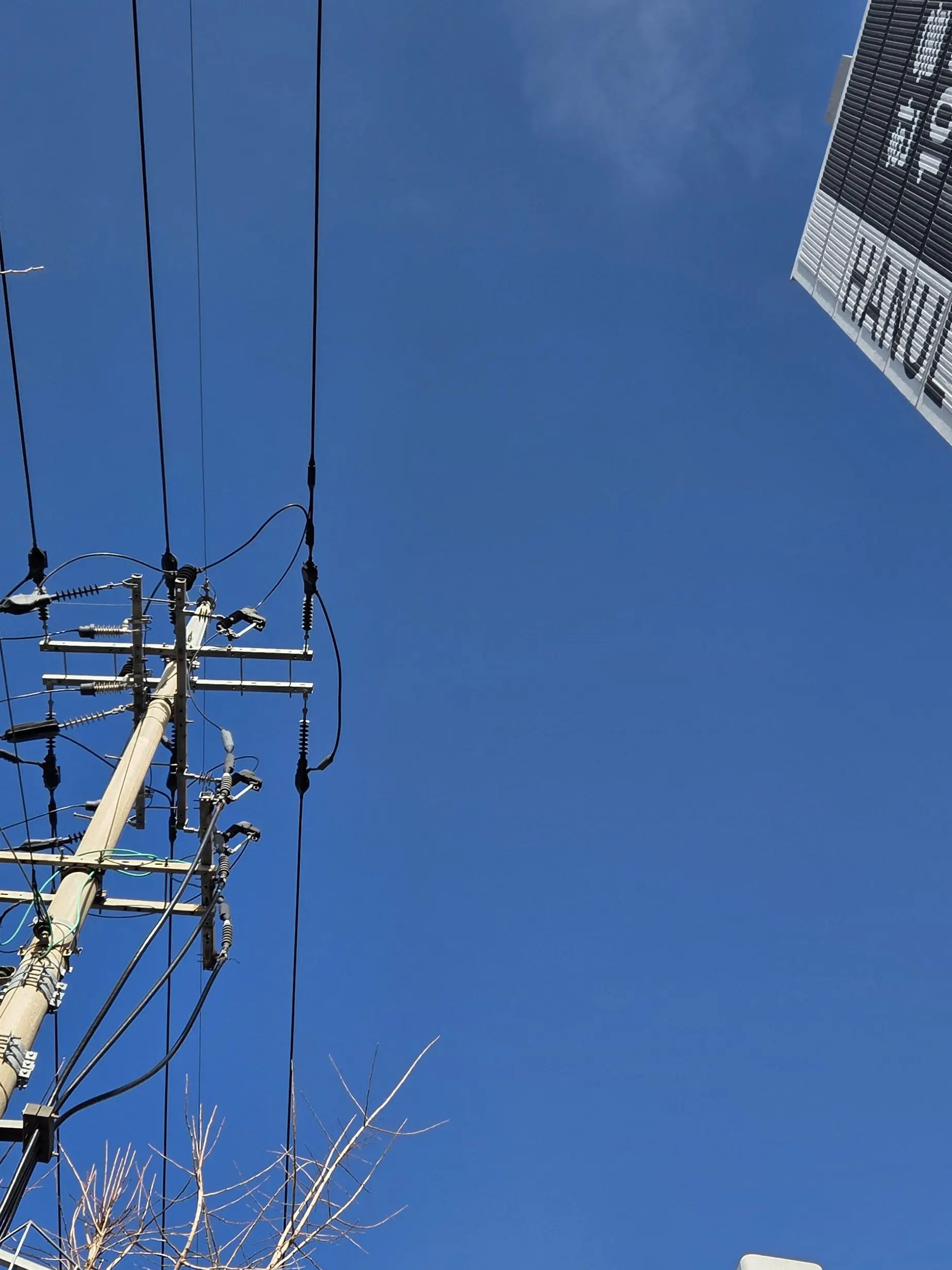 MatureMedal5761의 크리스마스와남사친들