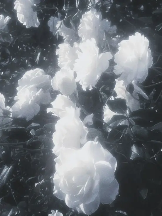 I_LOVE_GAY의 니 뭐하는놈이야?