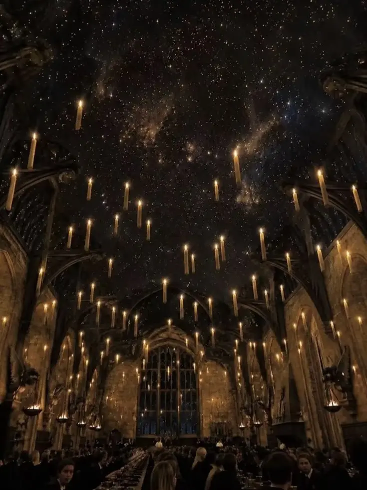 TacitTetra1424의 Harry Potter