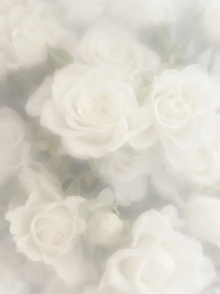 kurage__vlt__yhj의 Doting Love
