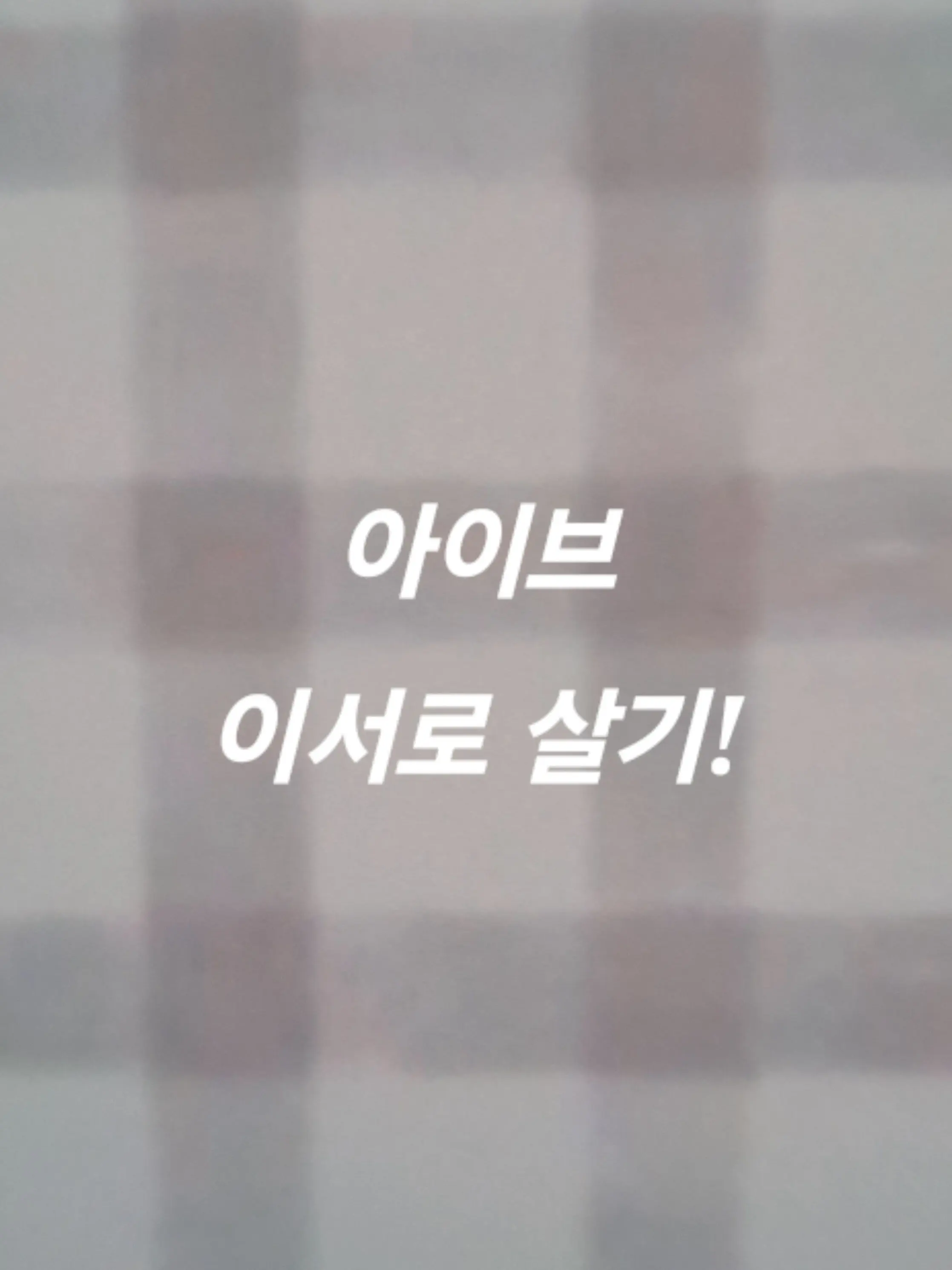 OrangeToque7305의 아이브 이서로 살아 보기