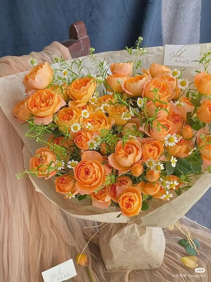 dpxnp의 포식자와 피식자의 정략결혼