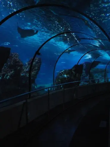 ong_my_Dopamine의 관심 좀 줘, 멍청한 인간아.