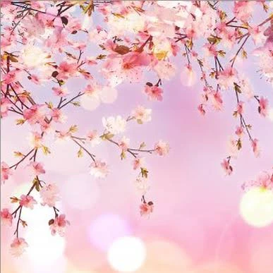 花園の秘密には…。