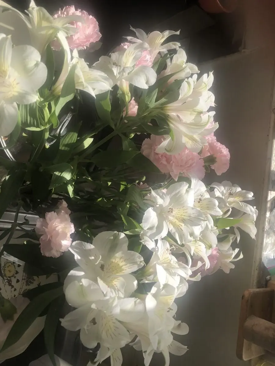 LoyalDiary5975의 정다온