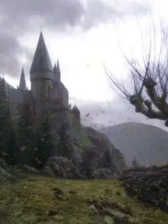 Sybauandfreezeurbrain의 Hogwarts Pick-me