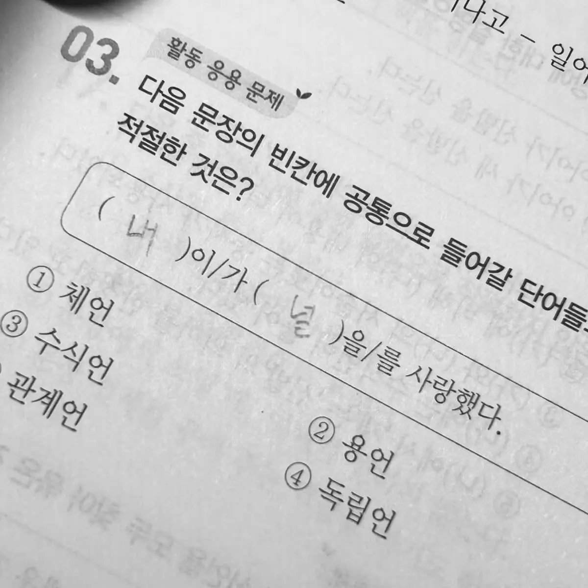 Ga1의 양광