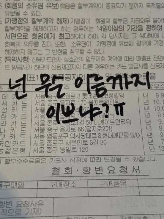 D913.6의 점점 개가 되어 가?