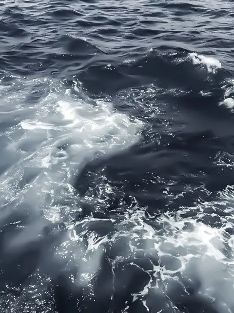 Love_EMOTION의 익사