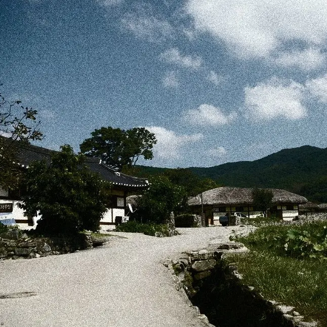 daffodil_의 산산백지산복주시옵게대리자야산산백지산■