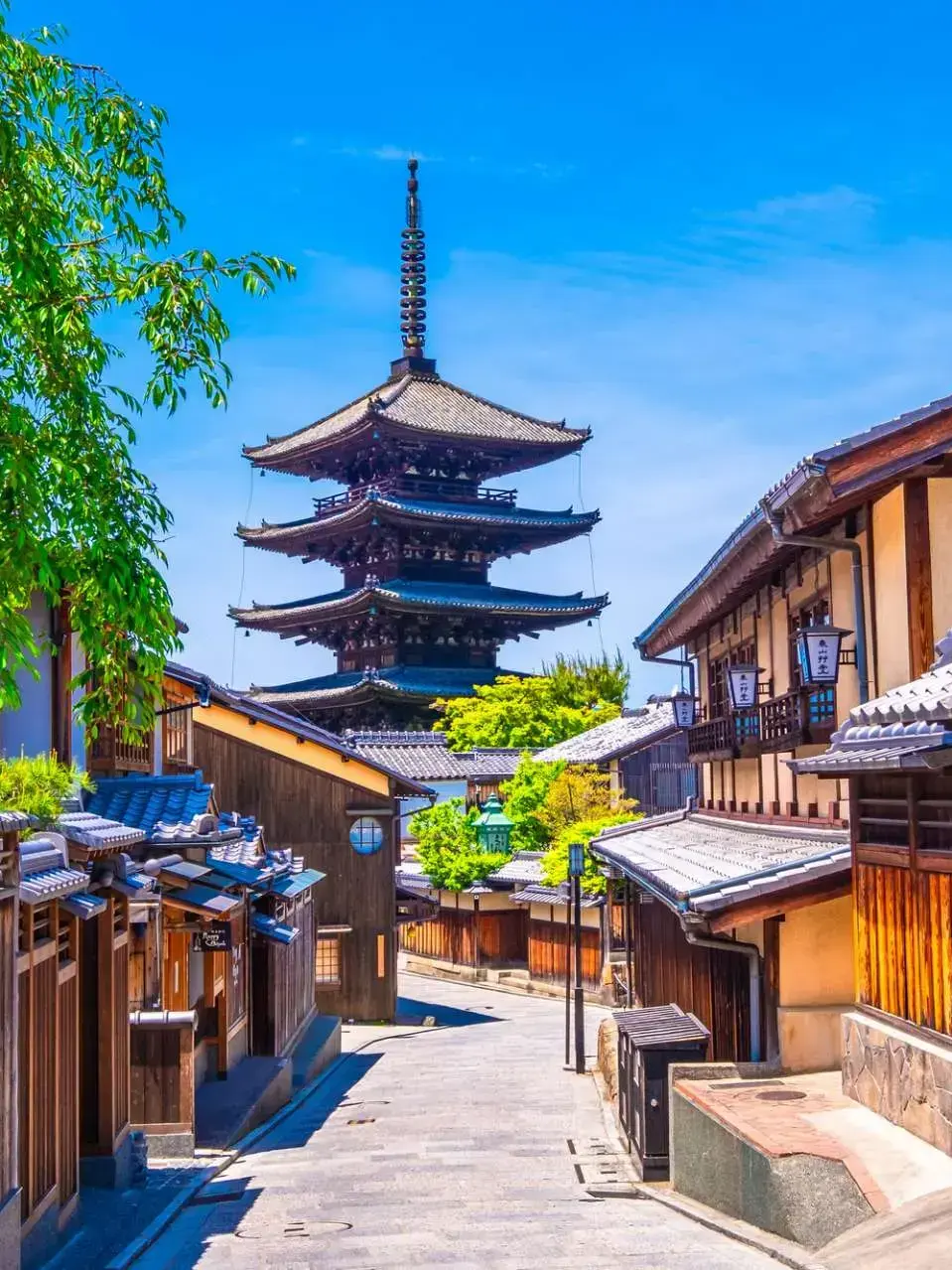 Asahinamahuyu의 カンヒュ 修学旅行