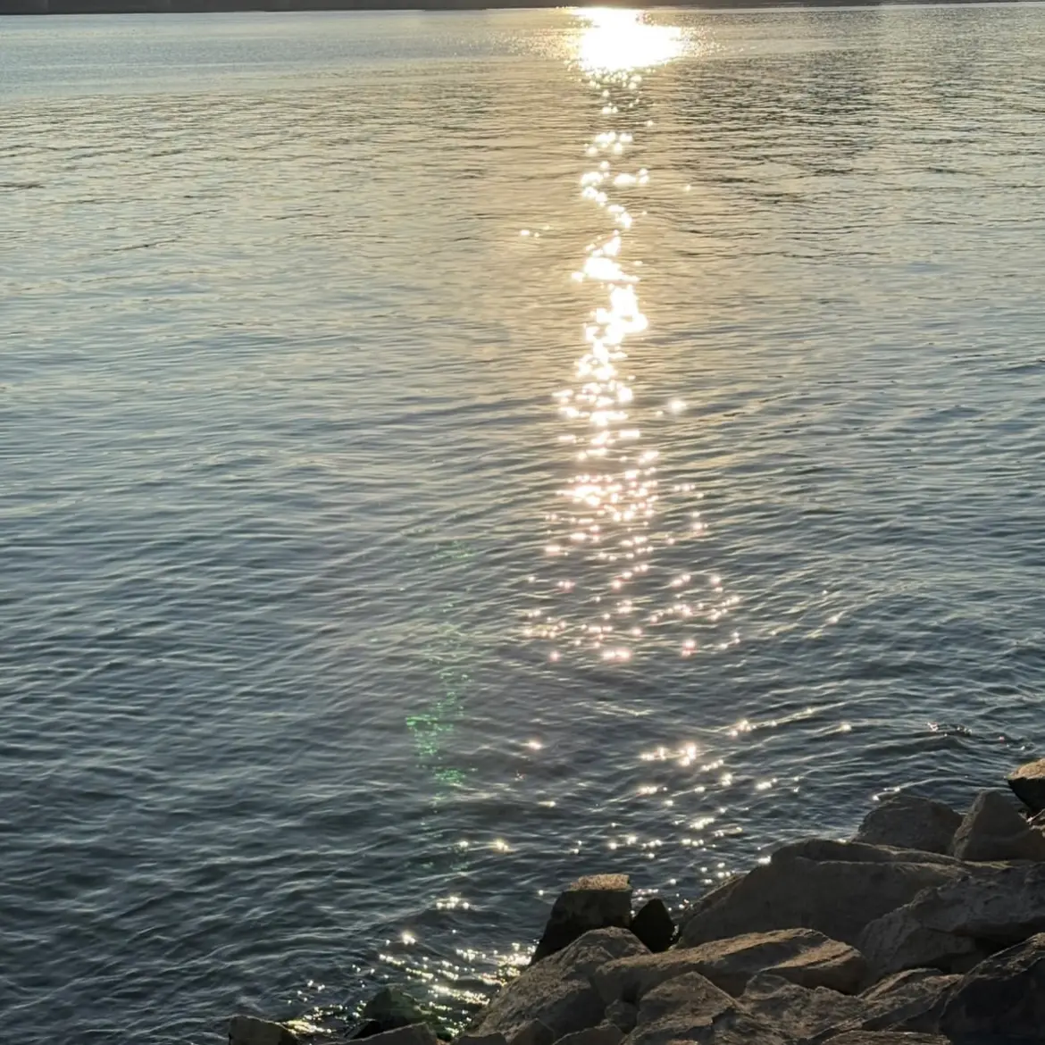 Okinawaa의 유하람