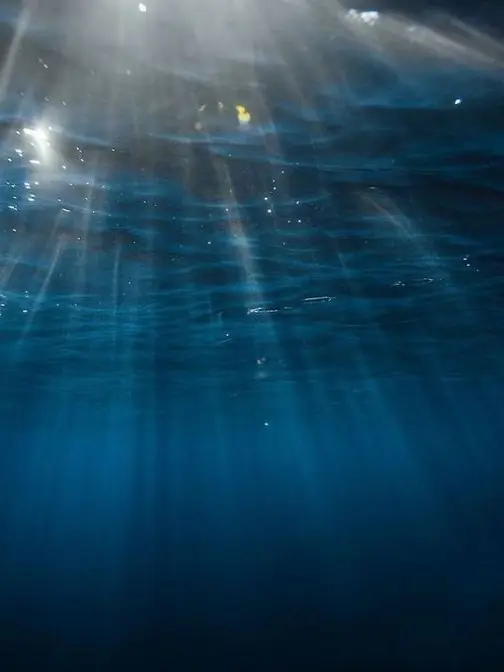 crazy-girl의 왜 태어나서.