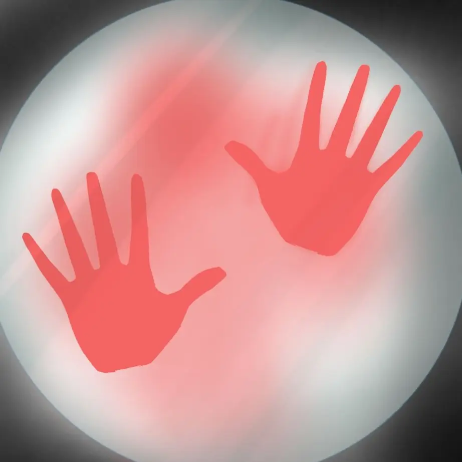 siah1312의 거울속의 진실